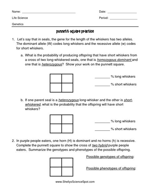 more punnett square practice worksheet answers
